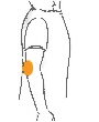 alkūnė