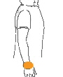 riešas