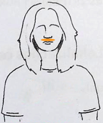 panosė