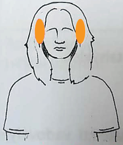 galvos šonas